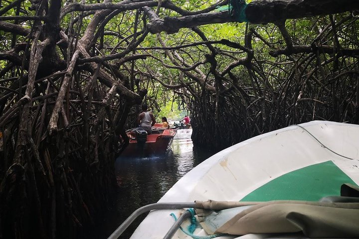 Madu Ganga Boat Safari